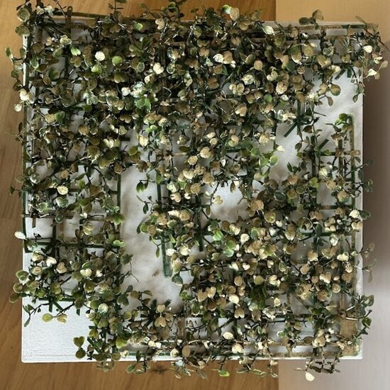 Zaļo augu plāksnītes