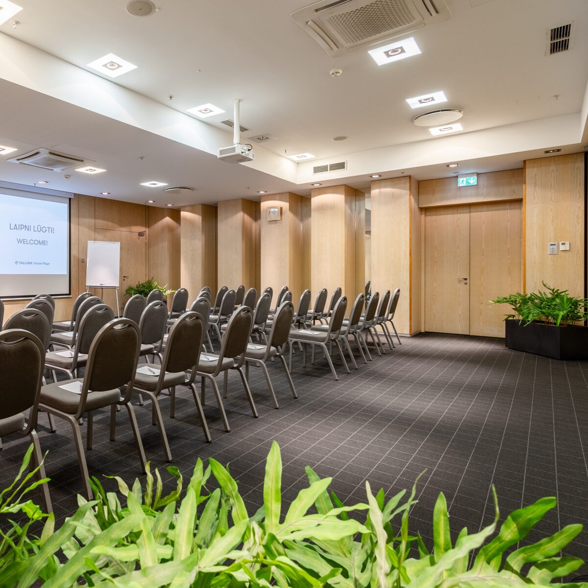 Green plants in a conference hall