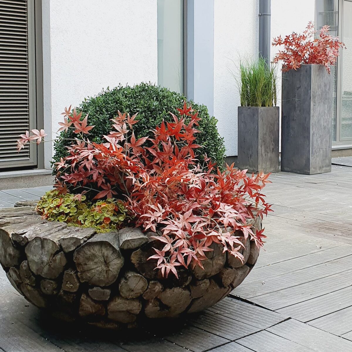 Terrace plantings in a decorative pot
