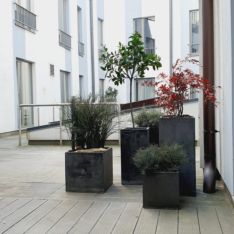 Modern terrace solutions: various plants in concrete planters