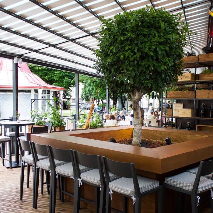 A large decorative plant on a restaurant’s summer terrace